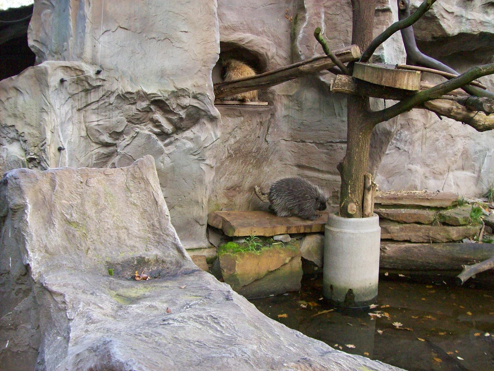 Zoom 18.10.2008-013.jpg